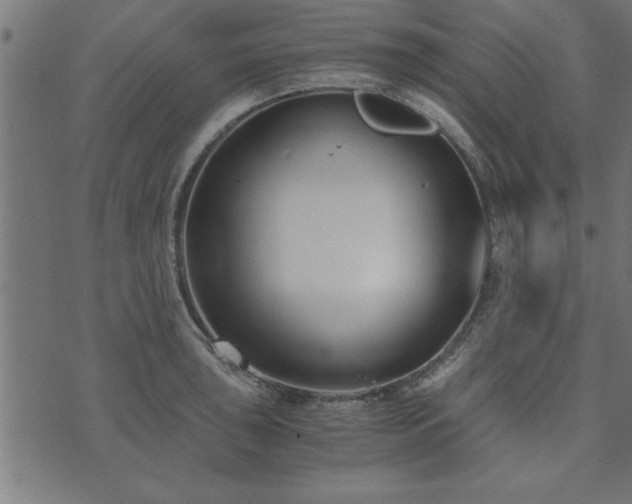 X0000073901043200608180954