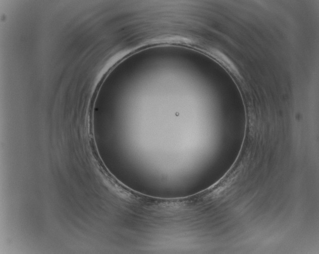 X0000073901044200608180954