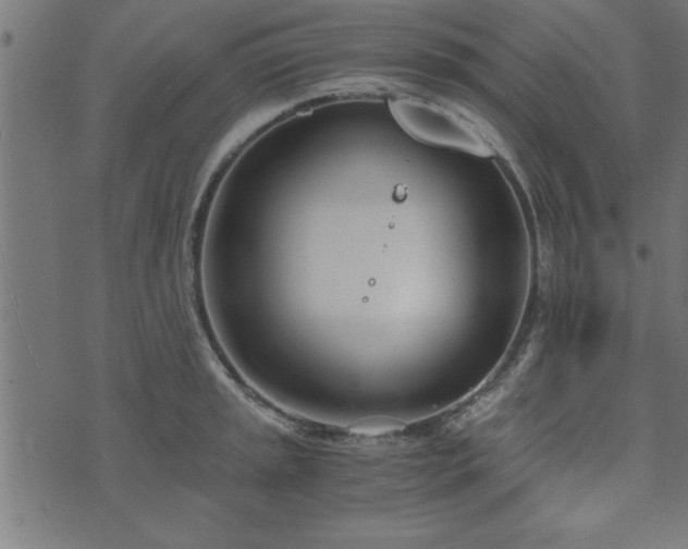 X0000073901045200608180954