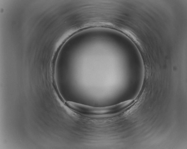 X0000073901046200608180954