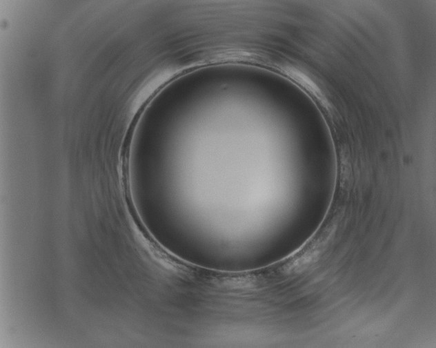 X0000073901047200608180954