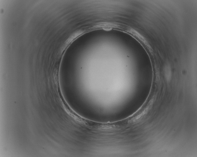 X0000073901049200608180954