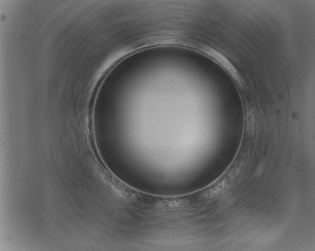 X0000073901051200608180954