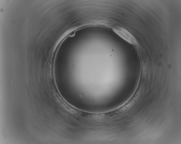 X0000073901052200608180954