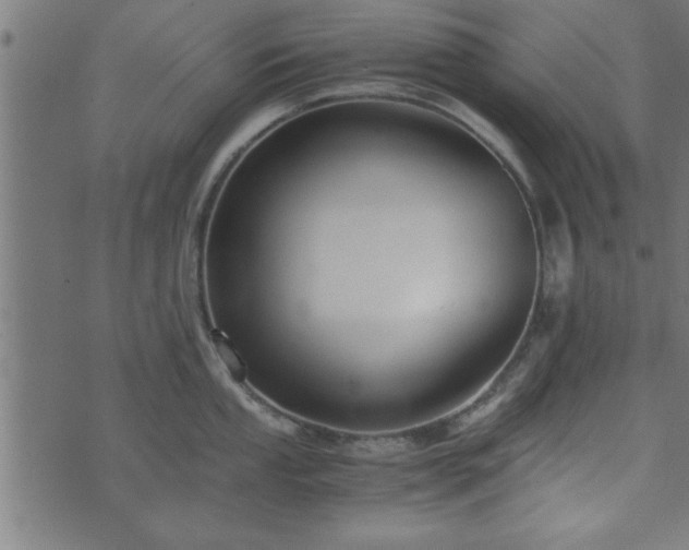 X0000073901053200608180954