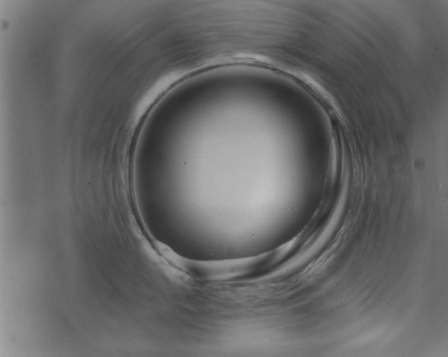 X0000073901054200608180954