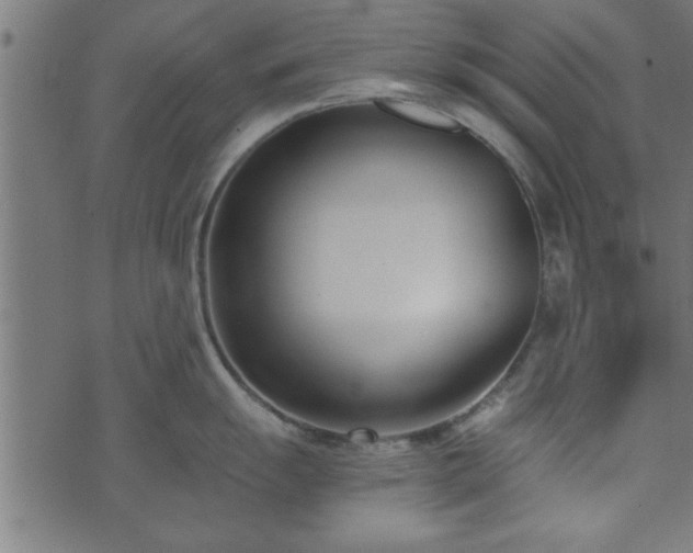 X0000073901055200608180954