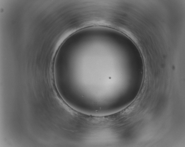 X0000073901056200608180954