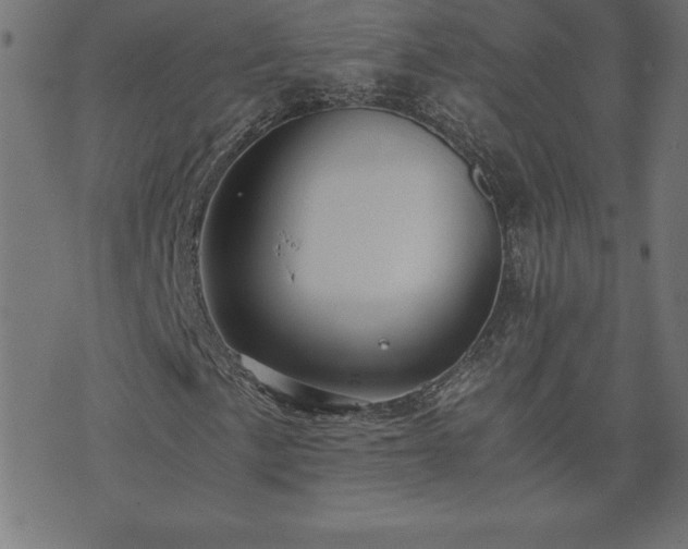 X0000073901057200608180953