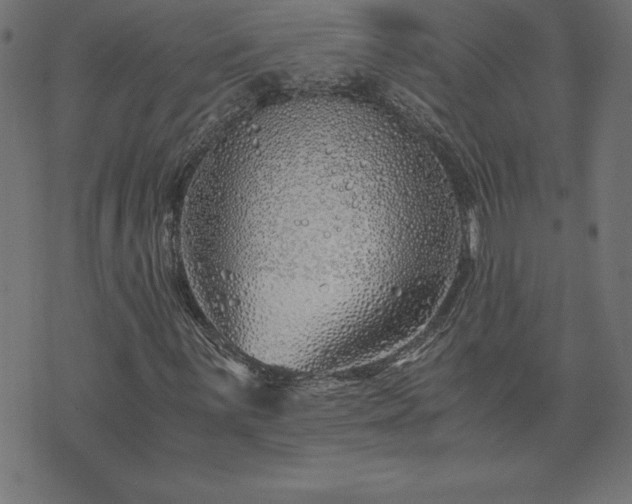 X0000073901059200608180953