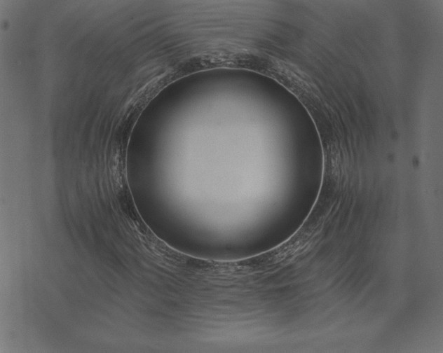 X0000073901060200608180953