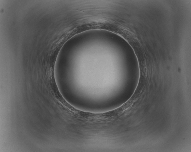 X0000073901061200608180953