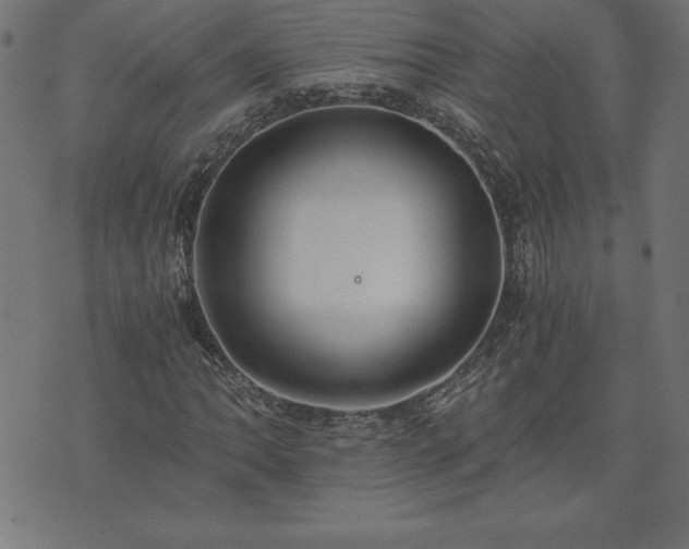 X0000073901062200608180953