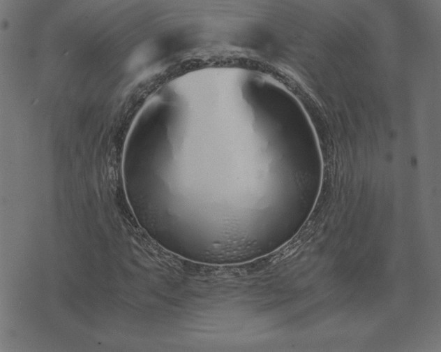 X0000073901063200608180953