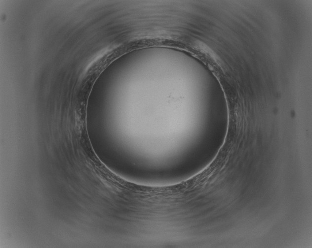 X0000073901064200608180953