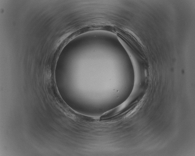 X0000073901065200608180953