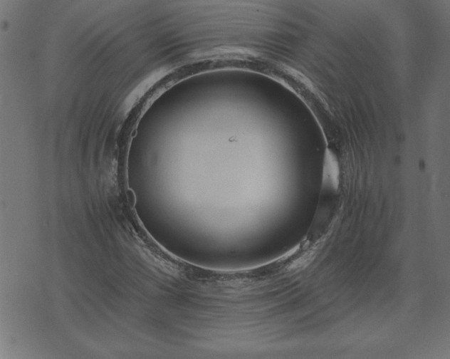 X0000073901066200608180953