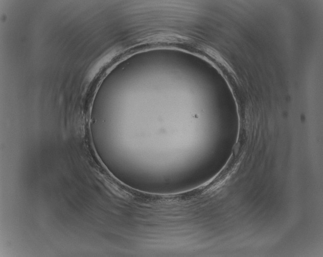 X0000073901067200608180953