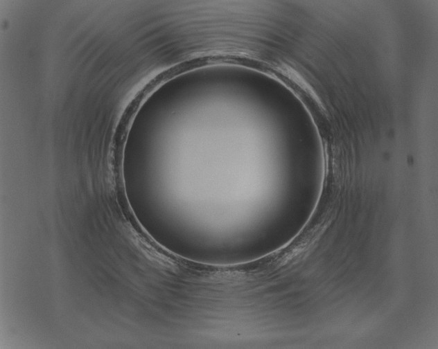 X0000073901068200608180953