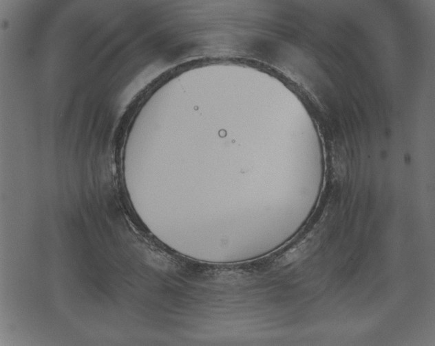 X0000073901070200608180953