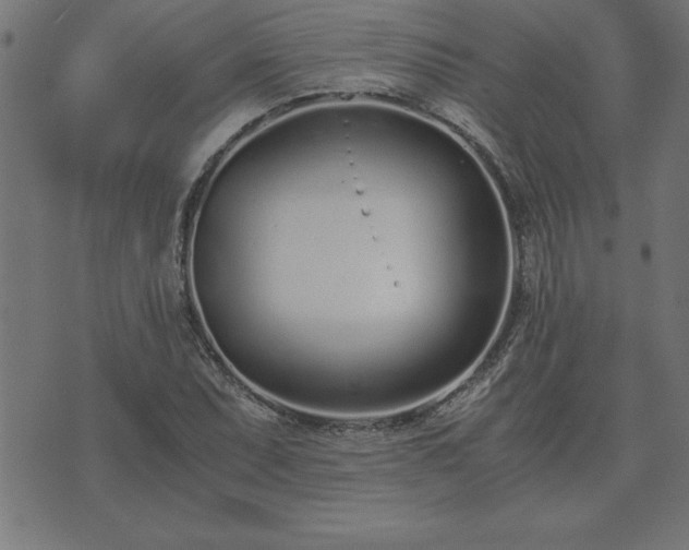 X0000073901071200608180953