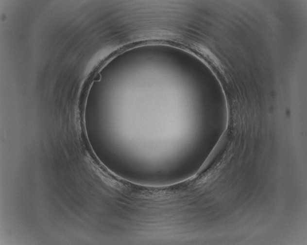 X0000073901072200608180953