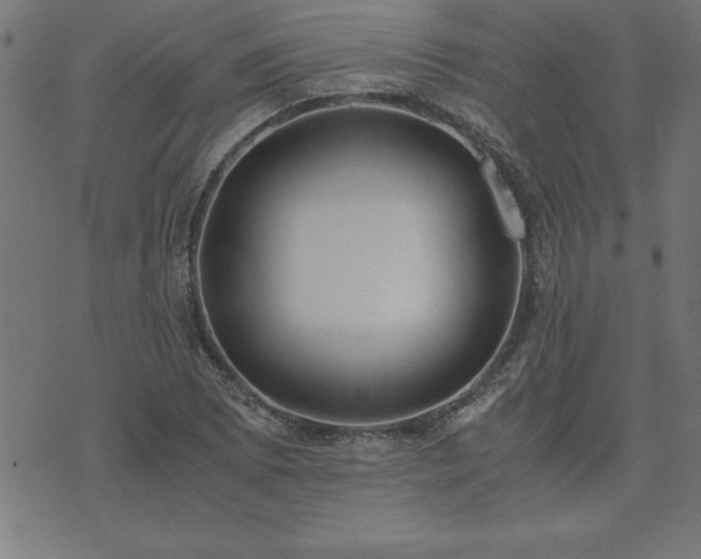 X0000073901073200608180953