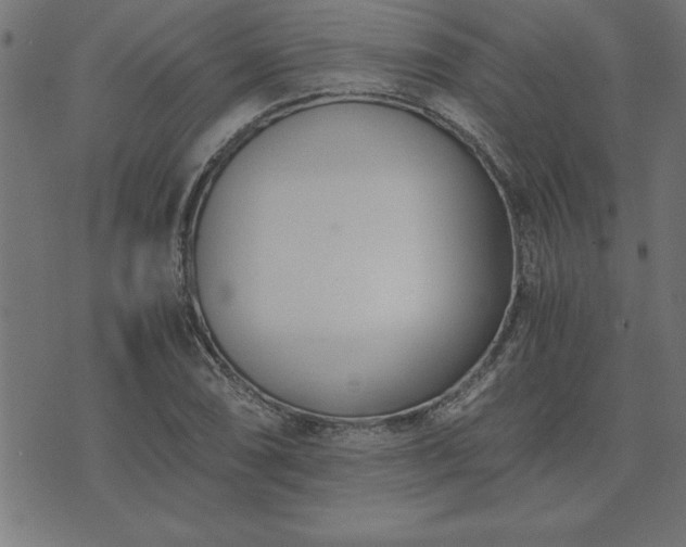 X0000073901074200608180953