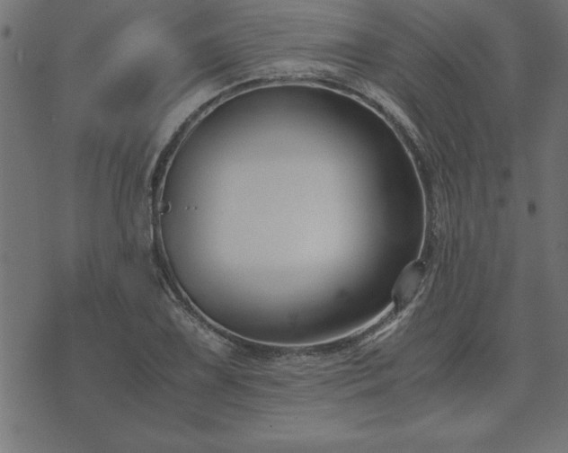 X0000073901075200608180953