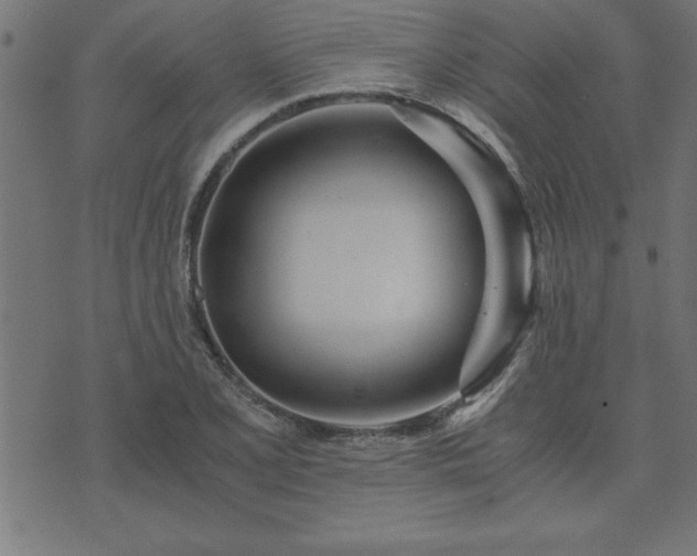 X0000073901077200608180953