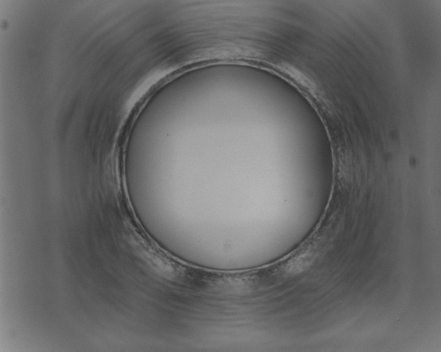 X0000073901078200608180953