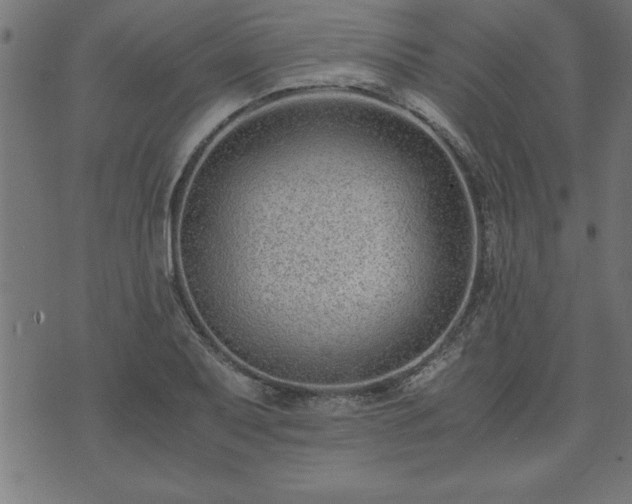 X0000073901079200608180953