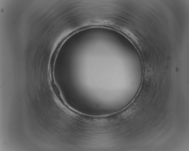 X0000073901080200608180953