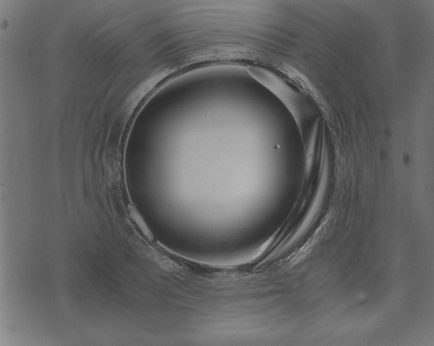 X0000073901081200608180953