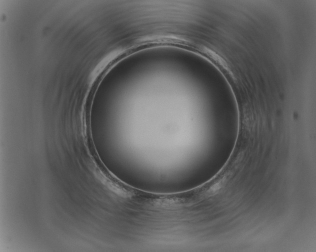 X0000073901082200608180953