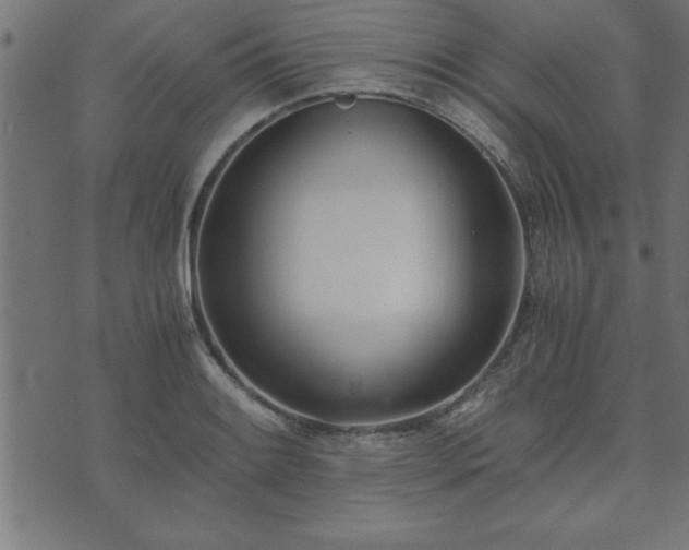 X0000073901084200608180953