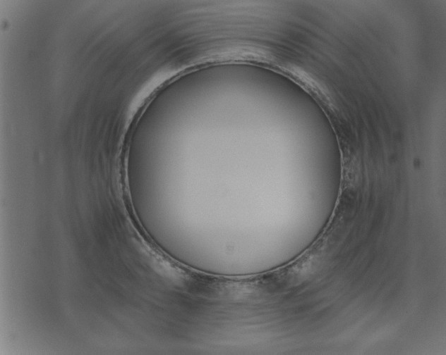 X0000073901086200608180953