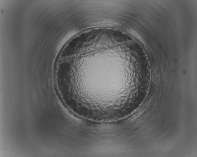 X0000073901087200608180953