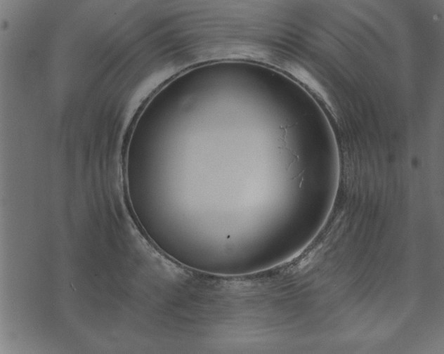 X0000073901088200608180953