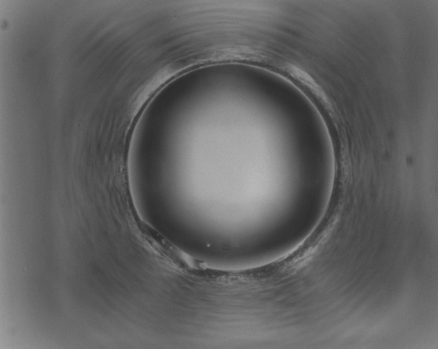 X0000073901089200608180953