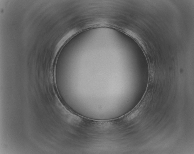 X0000073901090200608180953