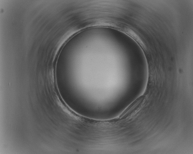 X0000073901092200608180952