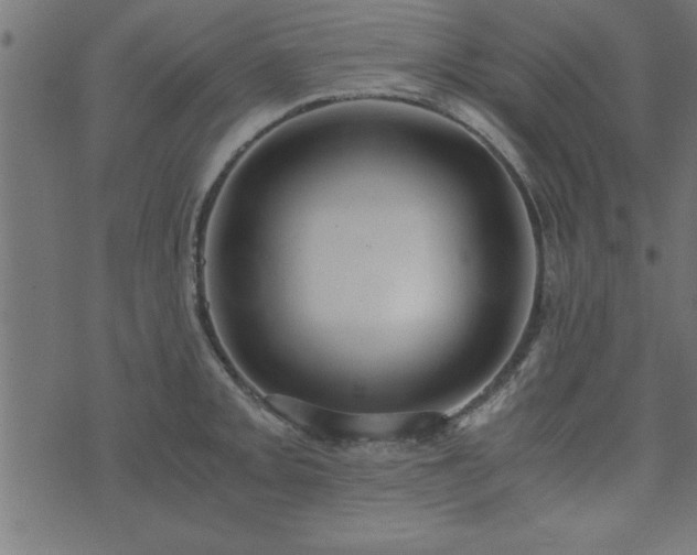 X0000073901093200608180952