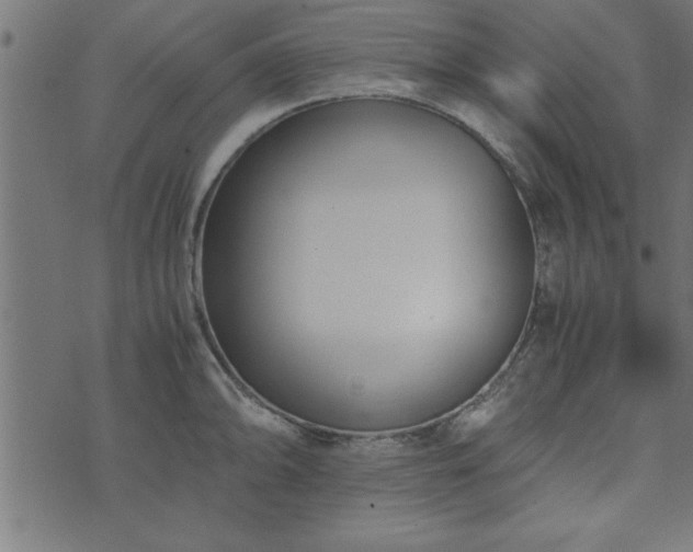 X0000073901094200608180952