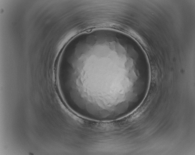 X0000073901095200608180952