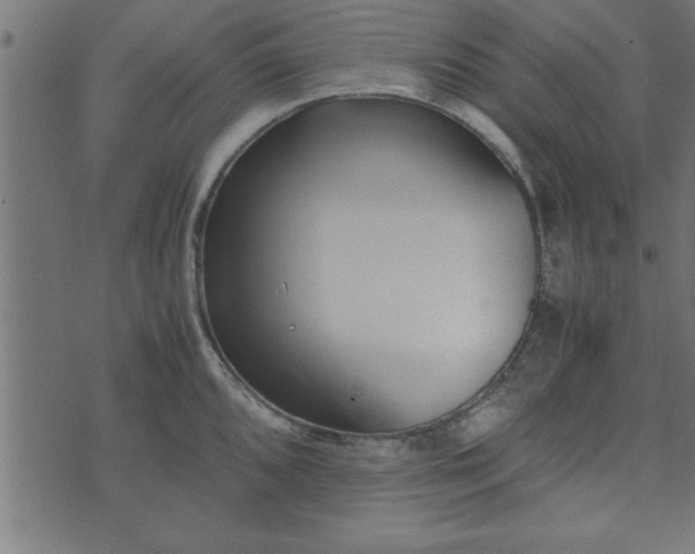 X0000073901096200608180952