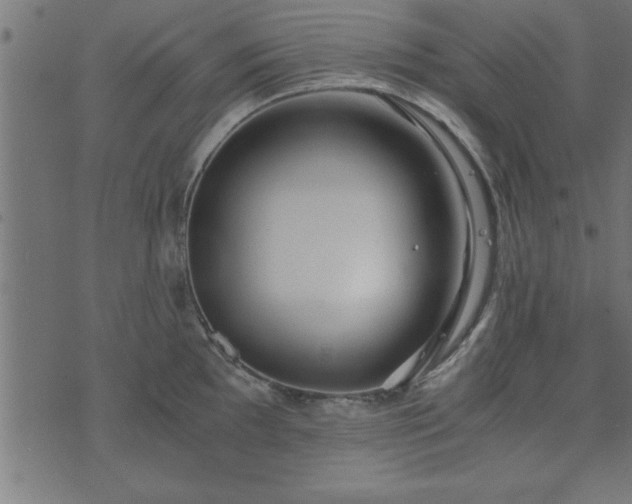 X0000073901097200608180952