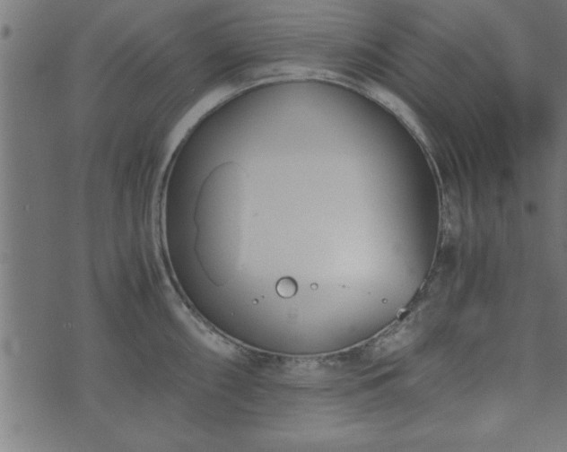 X0000073901098200608180952