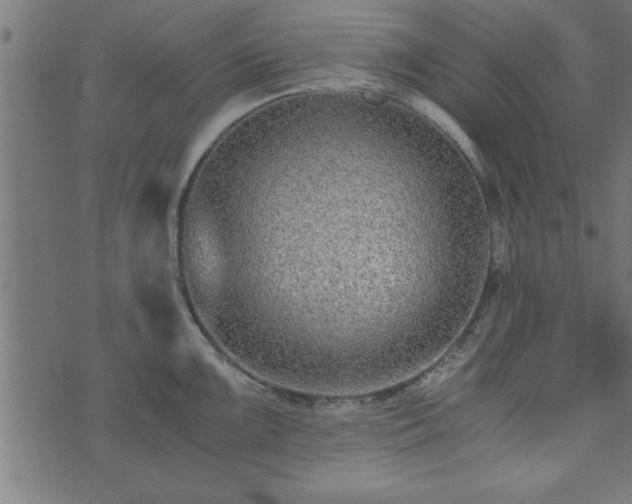 X0000073901099200608180952