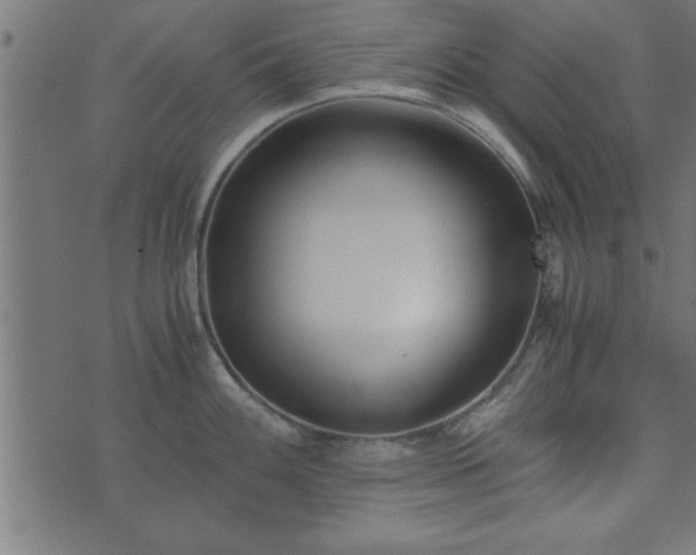 X0000073901100200608180952